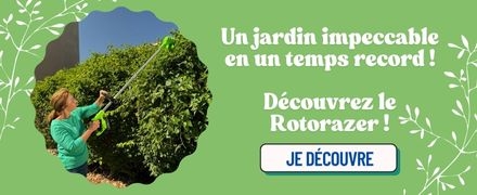 Maison, Brico & Jardin