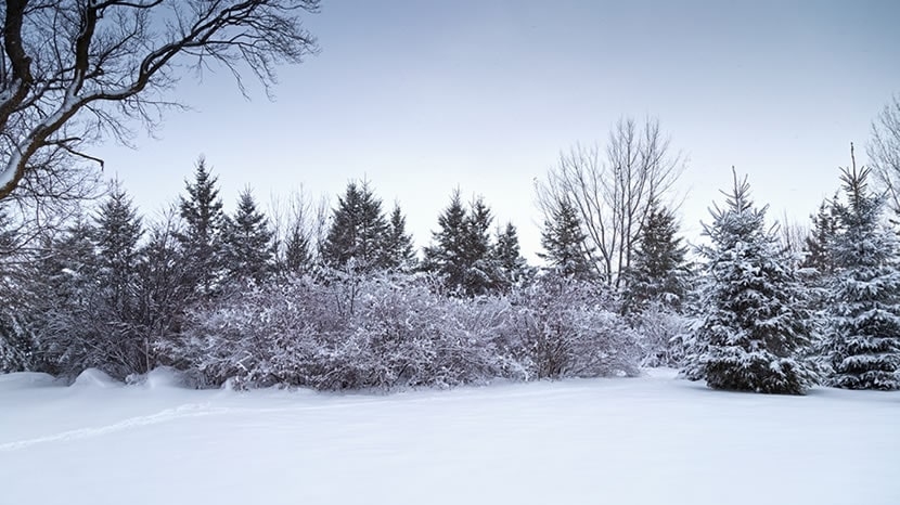 Des vacances à la neige bien préparées