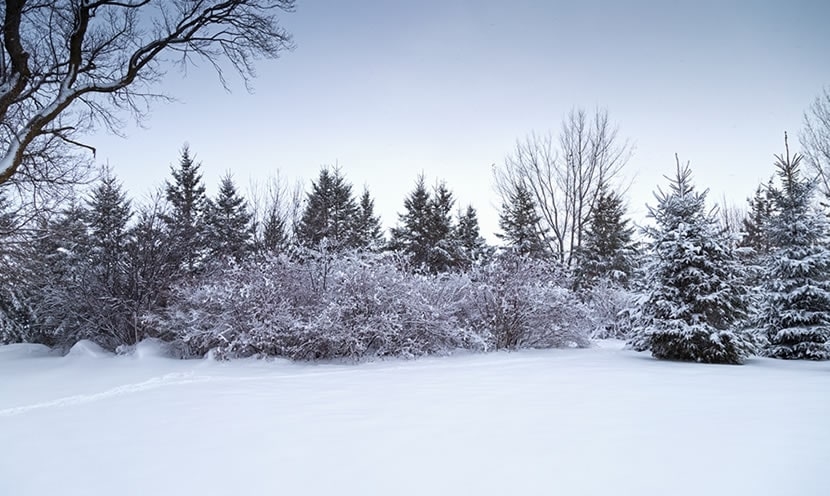 Des vacances à la neige bien préparées
