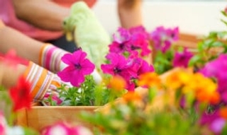 Les astuces pour un jardin bien entretenu au printemps 