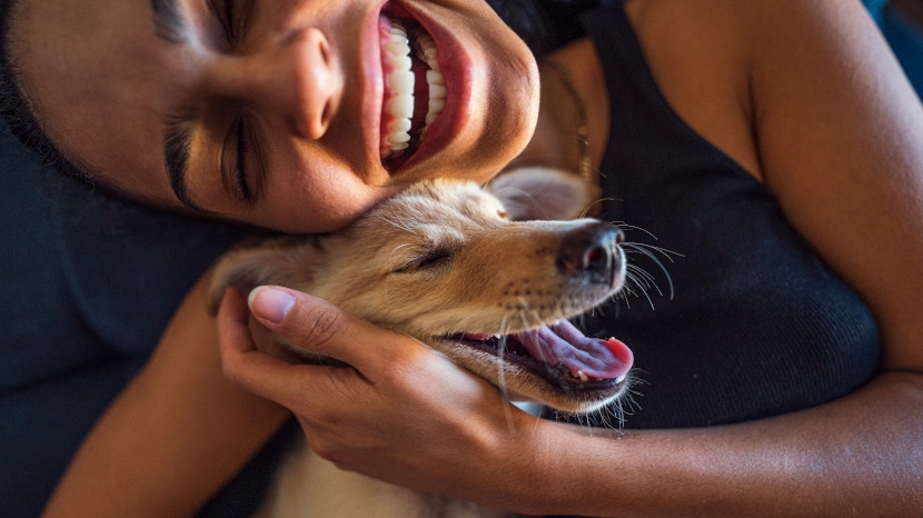 Intérieur sans poils de chien : quelles astuces ?
