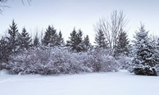 Des vacances à la neige bien préparées