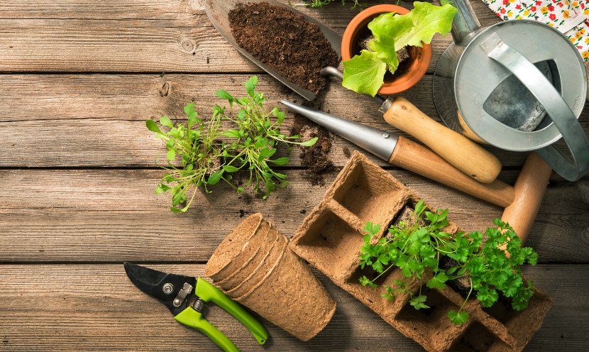 Nos conseils pour bien aménager votre jardin