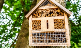 5 idées de bricolage d’automne pour améliorer l’espace extérieur 