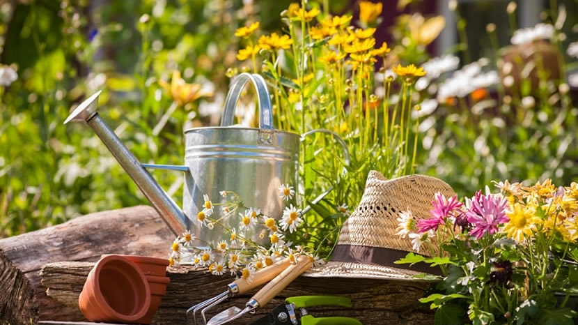 Préparez votre jardin pour le printemps 