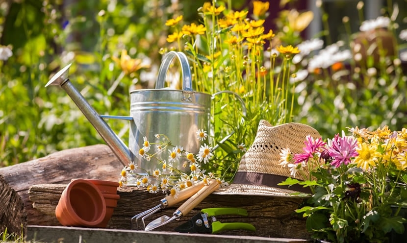 Préparez votre jardin pour le printemps Préparez votre jardin pour le printemps