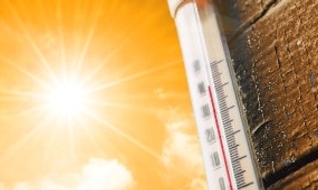 Les meilleurs produits anti-canicule