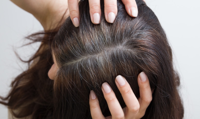 Quelques conseils pour camoufler ses racines blanches Quelques conseils pour camoufler ses racines blanches