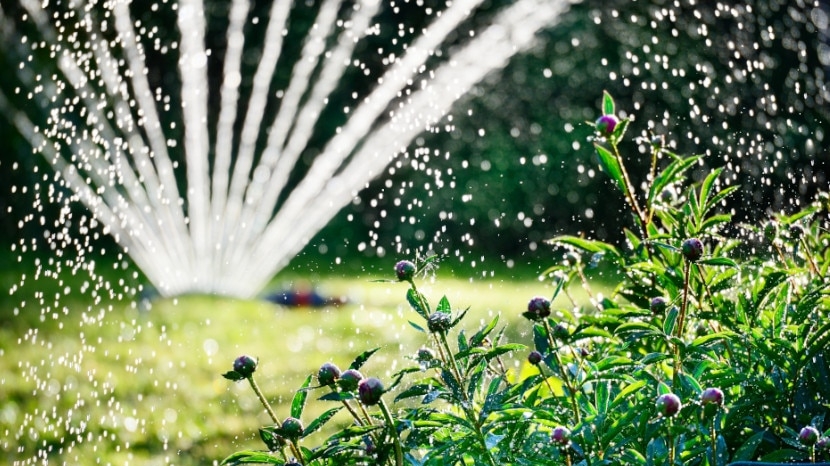 1 Ensemble Système D'irrigation Goutte À Goutte Bricolage - Temu Belgium